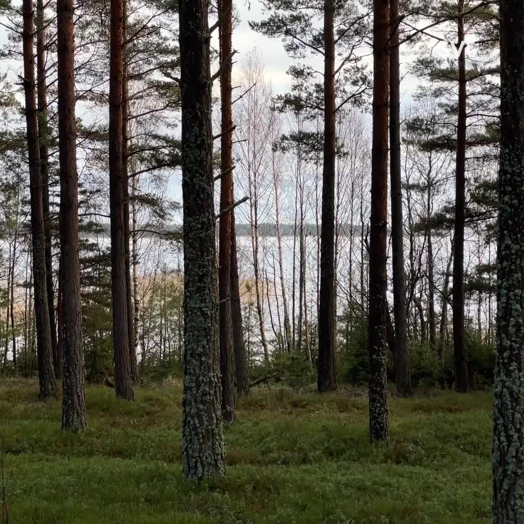 Länsstyrelsen ändrar kommunens beslut – stoppar glamping-satsning i Karlstad